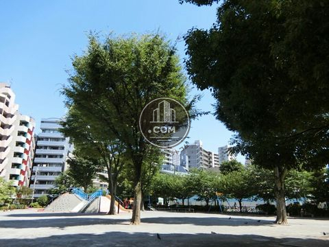 裏路地