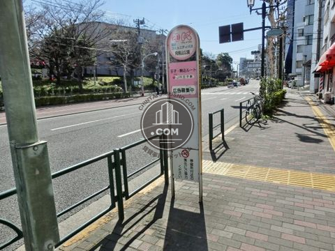 大通り
