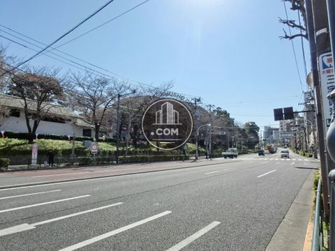 大通り
