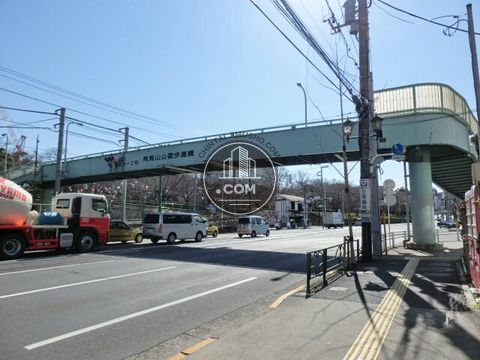 大通り