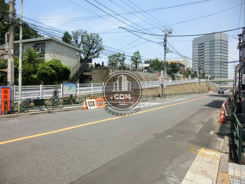 大通り