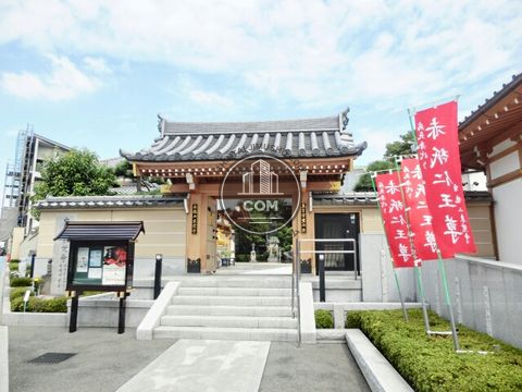 大通り