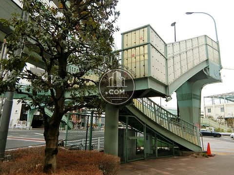 大通り