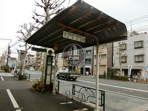 大通り