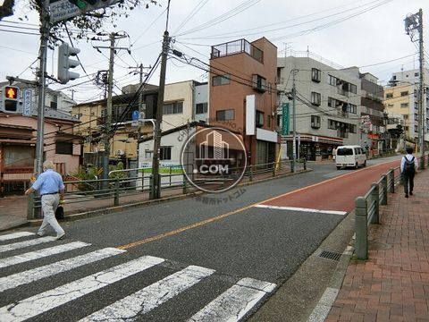 大通り