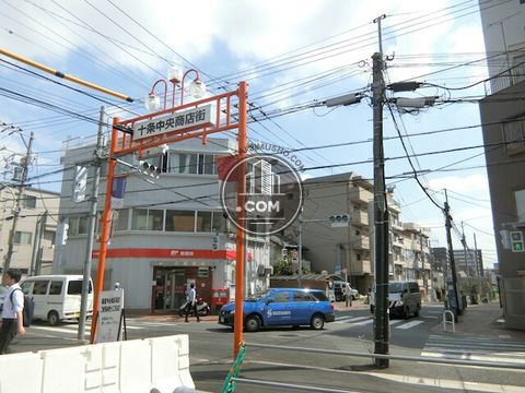 大通り