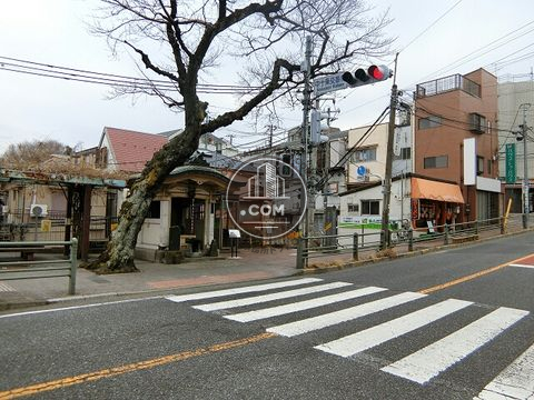 大通り