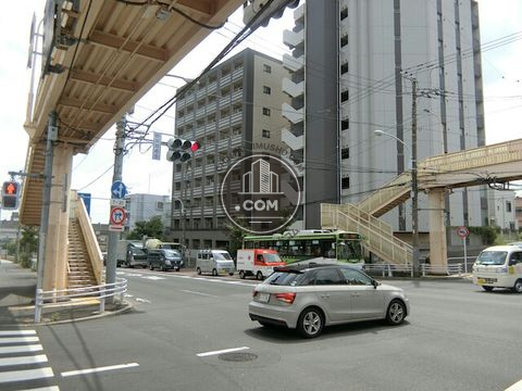 大通り
