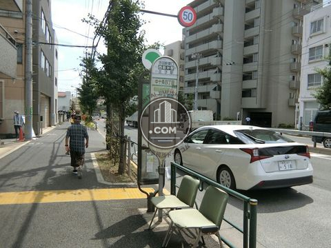 大通り