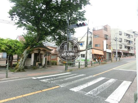 大通り