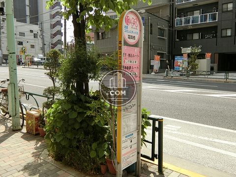 大通り