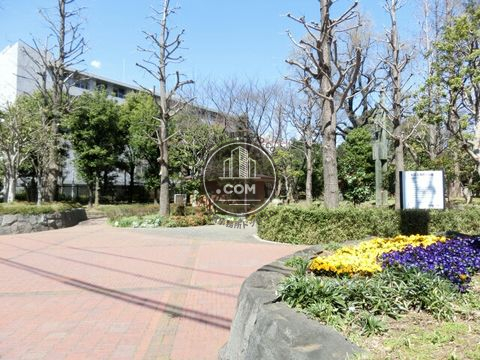 大通り