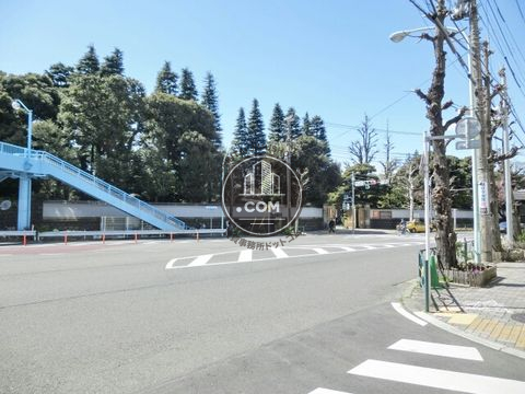 大通り