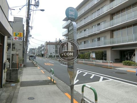 大通り