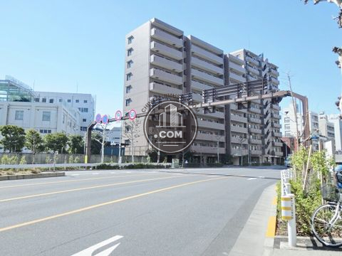 大通り