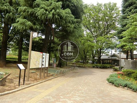 裏路地