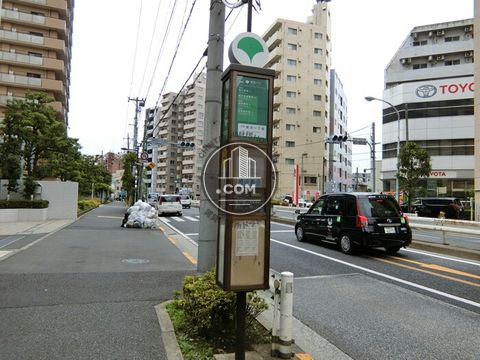 大通り