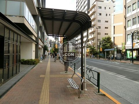 大通り