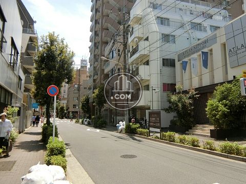 大通り
