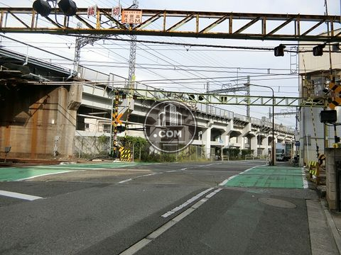 大通り