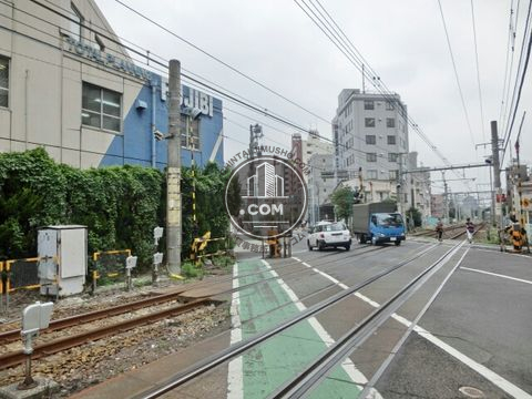 大通り