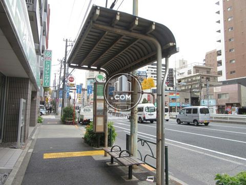 大通り