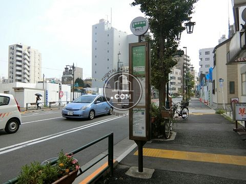 大通り