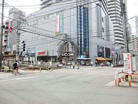 大通り