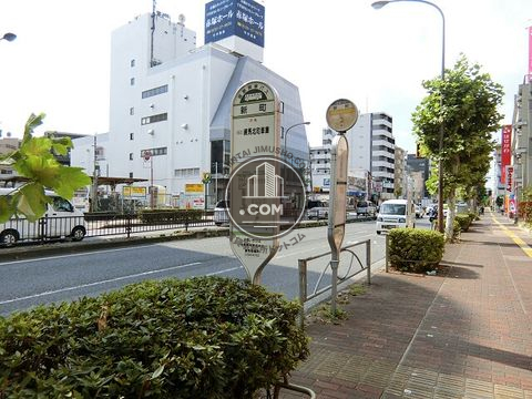 大通り