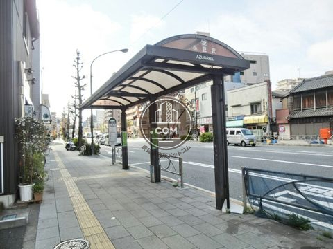 大通り