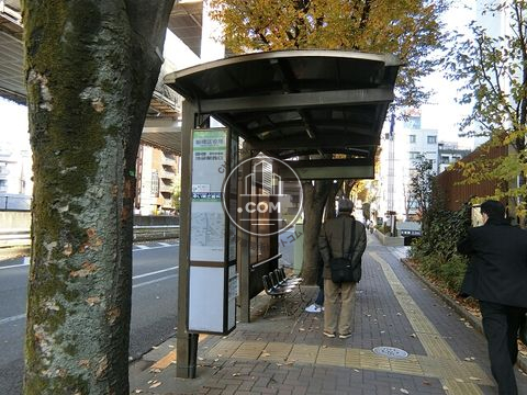 大通り