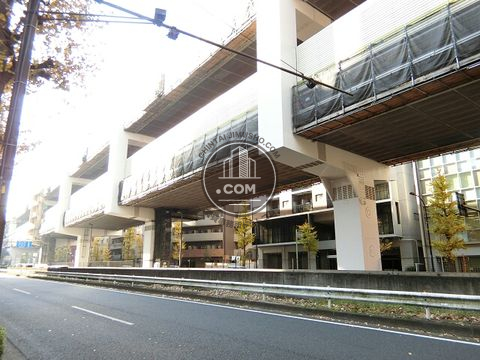 大通り