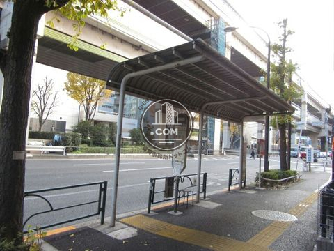 大通り