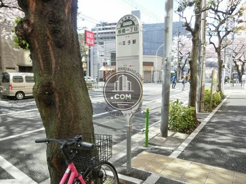 大通り