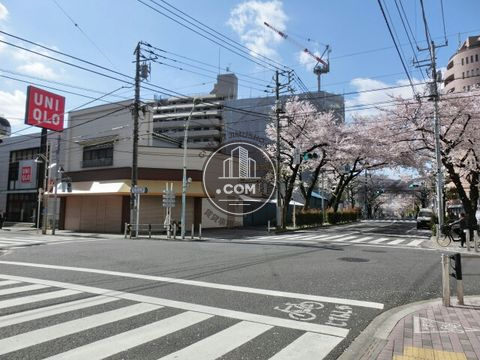 大通り