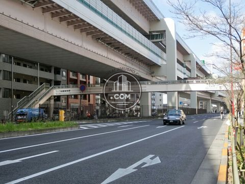大通り