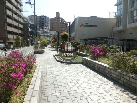 裏路地