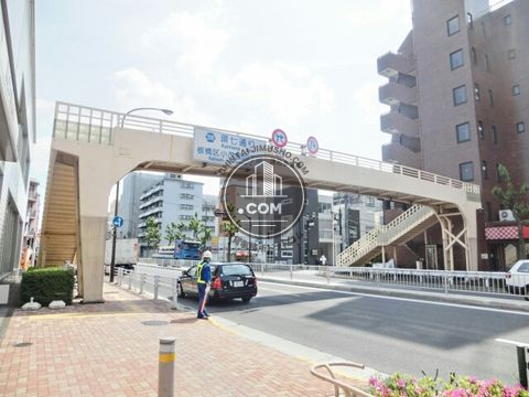 大通り