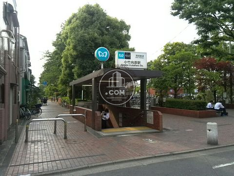 駅周辺