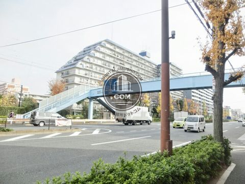 大通り