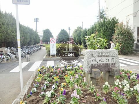 大通り