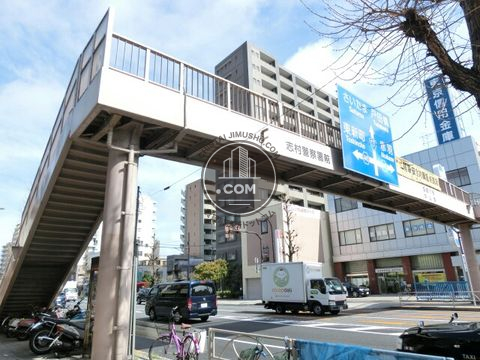 大通り