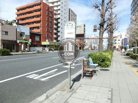 大通り