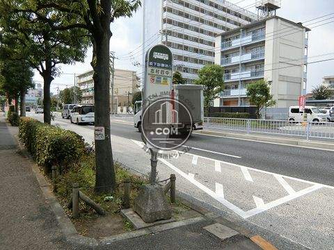 大通り