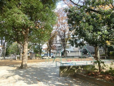 裏路地