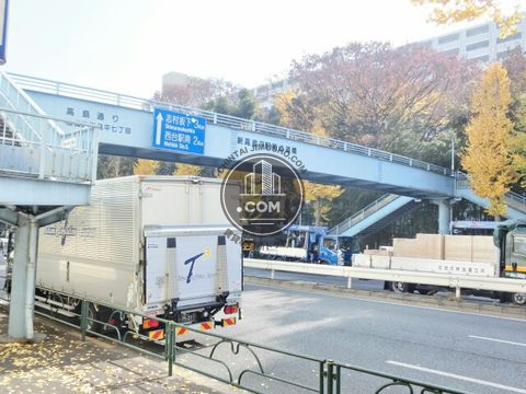 大通り