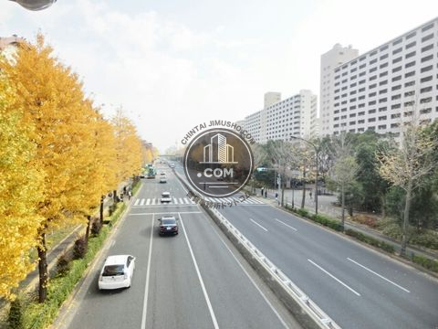大通り