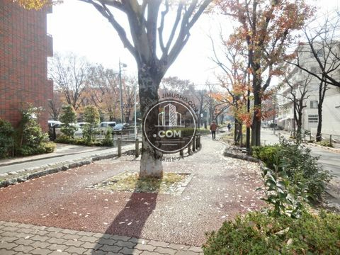 大通り