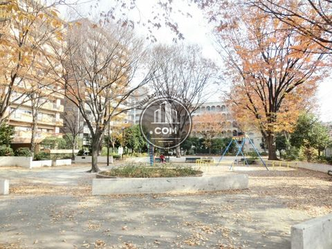 大通り