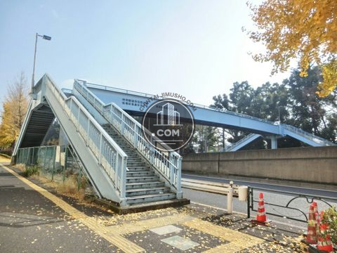 大通り